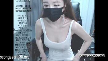 Korean Bj 8663