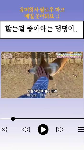 개 부럽네요