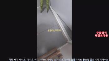 야동 558833번 썸네일