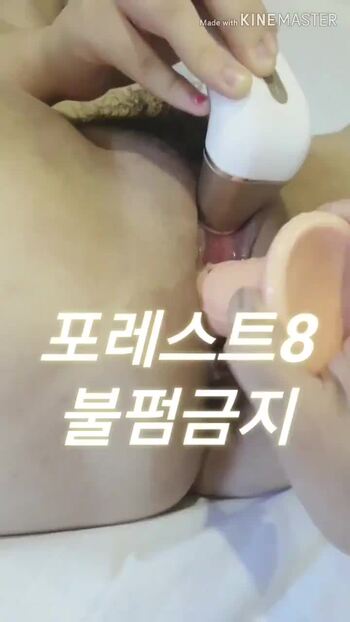 포레스트8 (11)