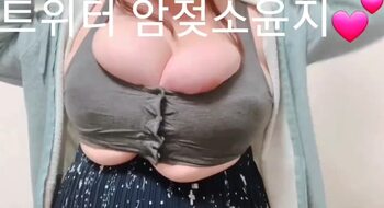 트위터 암소 (48)