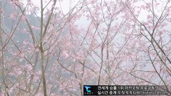 거유녀의 쪼여주는 보지맛