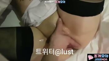 야동 248713번 썸네일