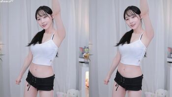 짜미 모음 (17)