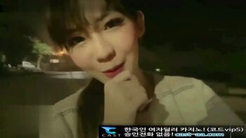 대륙의 암캐