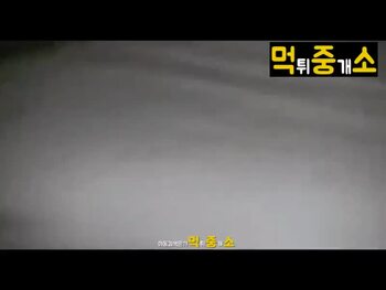 야동 251759번 썸네일